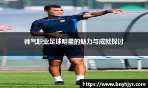 左右内部