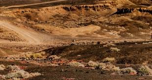 2025 赛季：日本职棒软银鹰队宣布将在美国建立青少年人才选拔中心